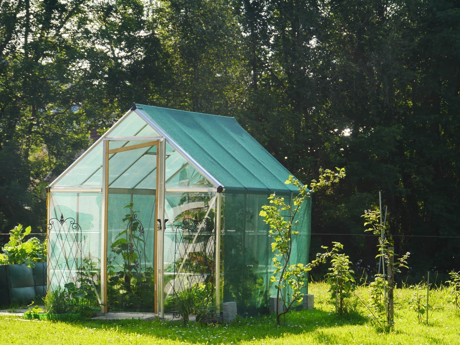 Traditional Wooden Greenhouse - Prairie Village, KS